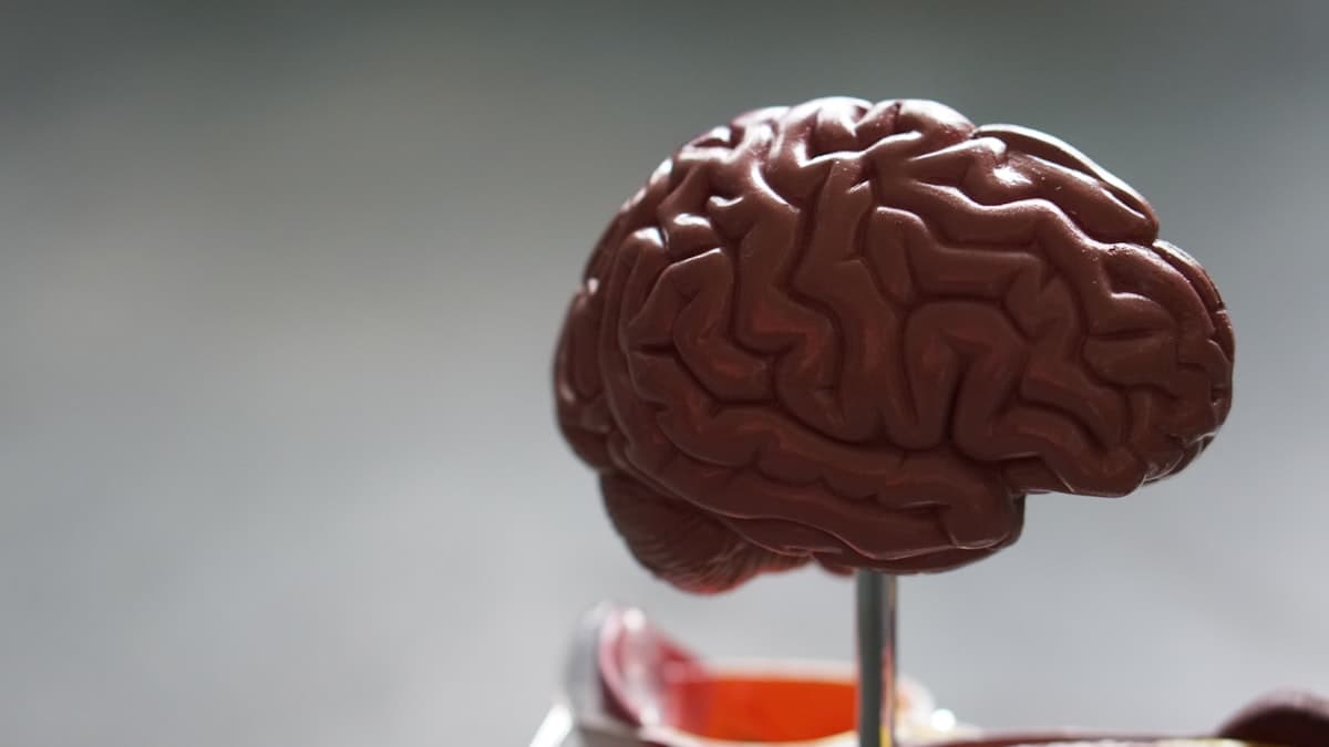 Sådan Bruger Du Smertestillende Medicin Sikkert og Skåner Din Mave